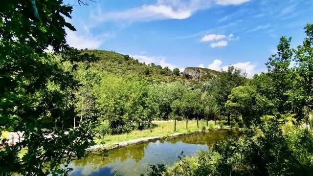 IMG_20200603_142354 copie