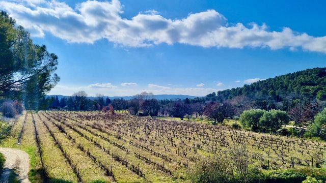 R+2 Vue Patio Chambre Sud 03