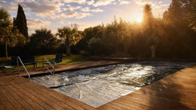 Piscien au soleil couchant 2